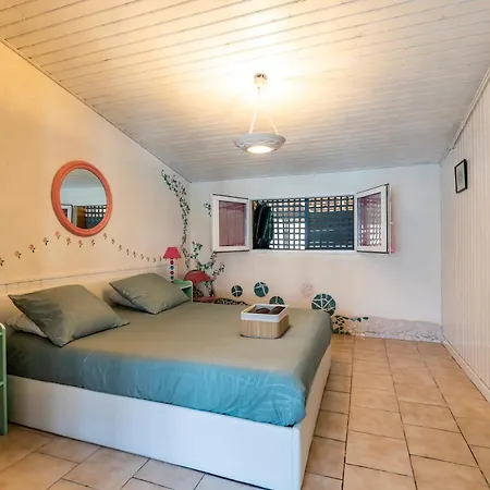 1 A La Maison Mosaic